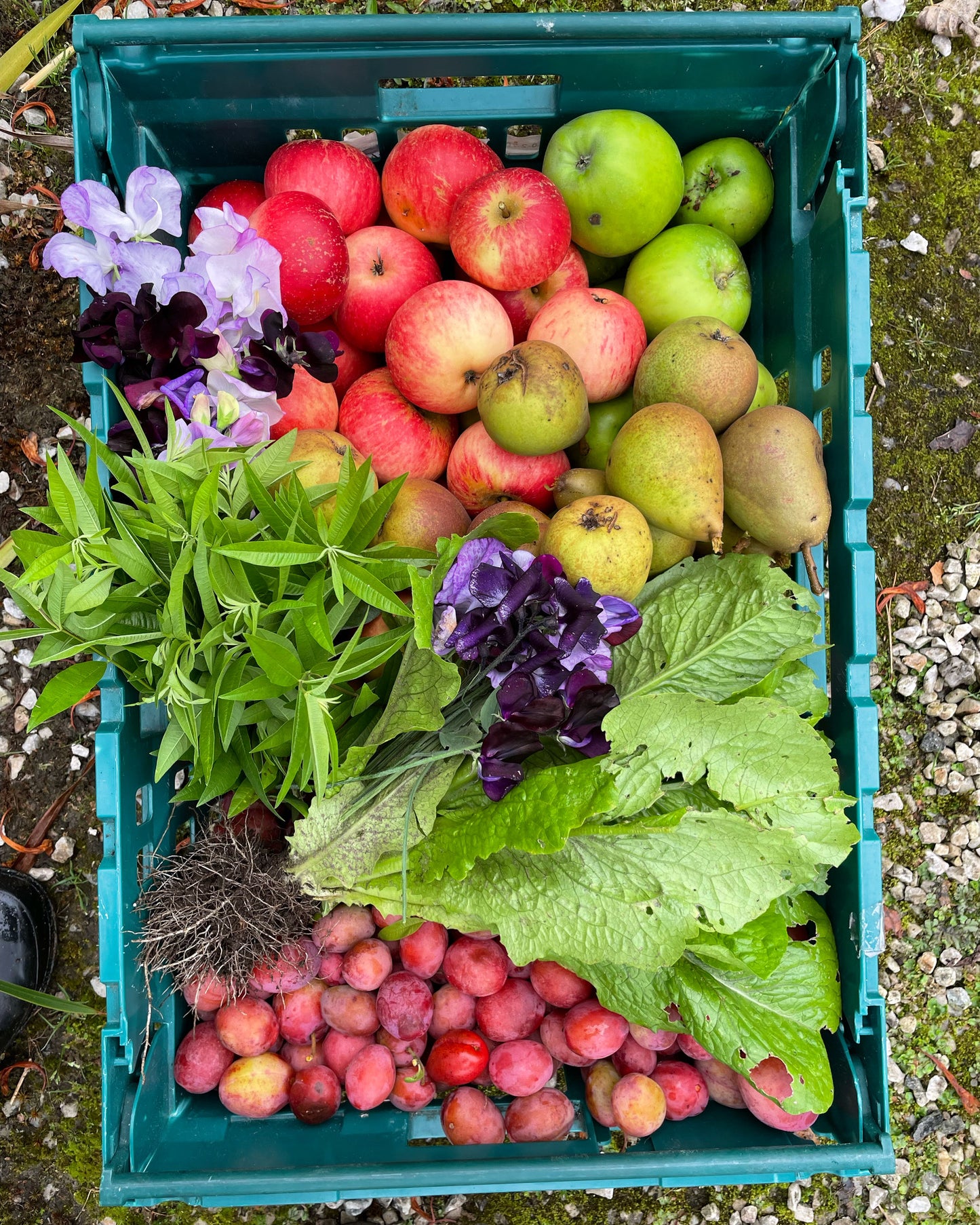 Soil to Soul - Cookery Workshop - Sunday 10th November